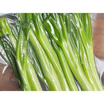 Beper RCO9003028, рулон пленки для вакуумного упаковщика, 28см x 6м, ПЭ+ПА+силикагель, многоразовый (RCO9003028)