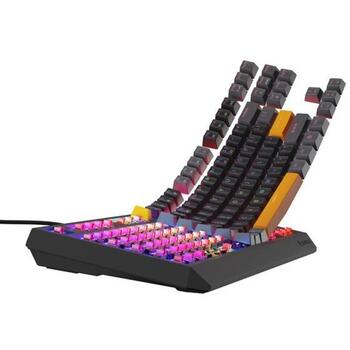 Genesis Thor 230 TKL mehāniskā spēļu tastatūra NKG-2081, 87 taustiņi, Outemu Red, RGB LED, USB Type-C, 3000 mAh, QWERTY, Hot-Swap (NKG-2081)