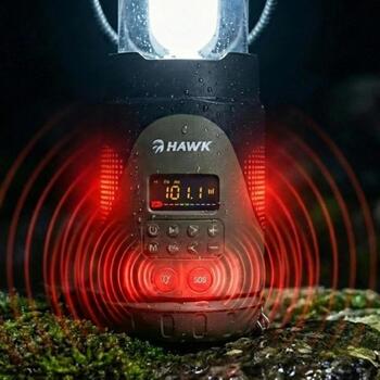 Hawk Портативное ручное радио HWRDI430GN, FM/AM, Bluetooth, Функция внешнего аккумулятора, Фонарь, SOS, 10W (HWRDI430GN)