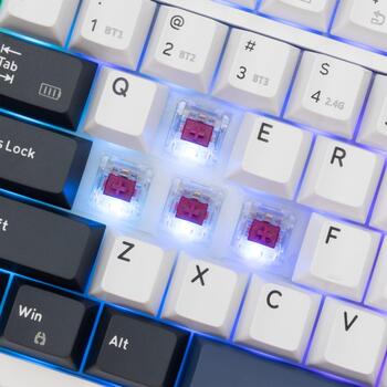 White Shark EXCALIBUR-W GK-007251 US, 97 клавиш, KTT Hot-Swap винные красные переключатели, 1.063кг, RGB подсветка (EXCALIBUR-W)