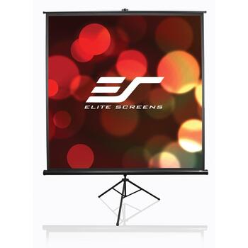 Elite Screens проекционный экран T113UWS1, 113 дюймов, 1:1, 203x203 см, матовый белый, 1.1 gain, 160 градусов угол обзора, ручной (T113UWS1)
