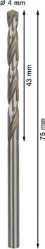 HSS-G urbji metālam 4.0mm, 10gab., Urbjmašīnām/skrūvgriežiem PRO METAL HSS-G STANDARTA SPIRĀLVEIDA URBJA GARUMS, 2608595059 BOSCH (2608595059)