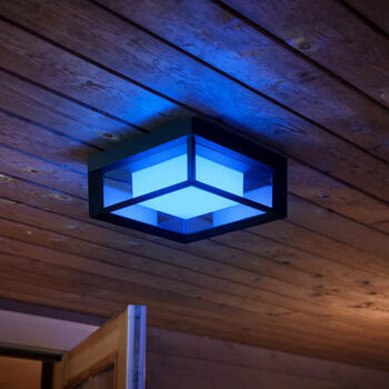 Philips Hue Econic viedā sienas/griestu dārza lampa (1743830P7)