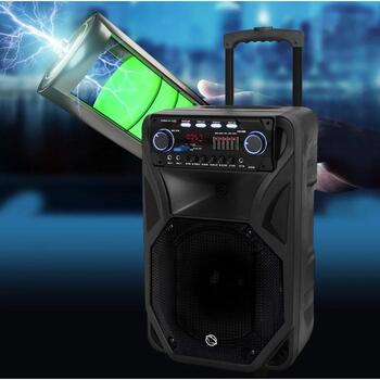 Manta Караоке колонка SPK5021PRO, 80 W, 12 дюймов, 2x входа для микрофона, Bluetooth, FM радио, 5 ч воспроизведения (SPK5021PRO)