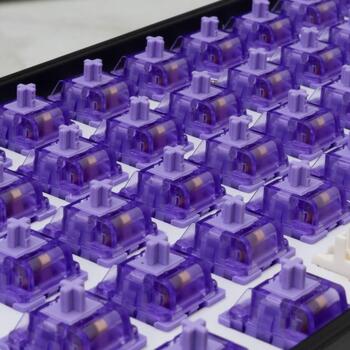 White Shark Механические переключатели PURPLEPULSE-25, 25 шт., 4 мм, Фиолетовые, Тактильные, 5 контактов (PURPLEPULSE-25)