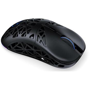 Endorfy MOUSE USB OPTICAL WRL LIV PLUS/BLACK EY6A016, 26000 DPI, 5 кнопок, Bluetooth, 16.51 м/с, эргономичный дизайн (EY6A016)