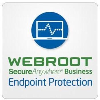Webroot Защита конечных точек для бизнеса с консолью GSM 112260011B, 1 год, 10-99 пользователей, подписка (112260011B)