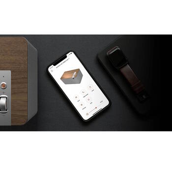 Беспроводная Bluetooth 2.1 колонка 120 W 45 Hz-20 kHz RCA/Phono USB-C оптический The Three Plus Орех (Walnut) 1071968 KLIPSCH (1071968)
