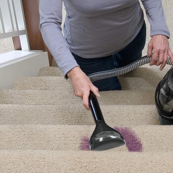 Birstes uzgalis 6 collu SpotClean 15 cm titāna 2365 Bissell (2365)