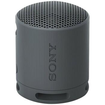 Sony Динамик SRS-XB100 КОД, 9.5см, 7.6см, 16ч, Bluetooth 5.3, Водонепроницаемый, Портативный, Аккумулятор (SRSXB100B.CE7)
