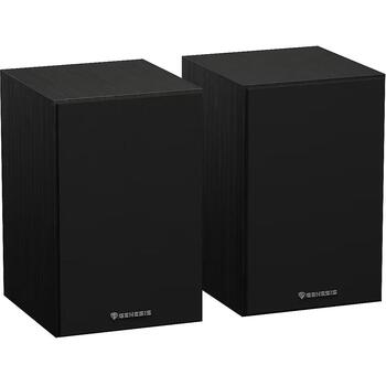 Genesis колонки Arsen 302BT NGS-2343, 20 Вт, 2.0 канала, Bluetooth 5.3, беспроводное, черный, активные, bass reflex (NGS-2343)