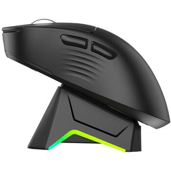 Tracer беспроводная игровая мышь NORD RF TRAMYS47842, 12000 dpi, 1000 Hz, 500 mAh, 2.4 GHz, Bluetooth, USB-C, RGB (TRAMYS47842)