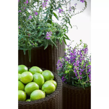 Keter Cylinder Planters S+M+L коричневый 29197934590, 3 кашпо, 28-43,4см, дренаж, имитация ротанга (29197934590)