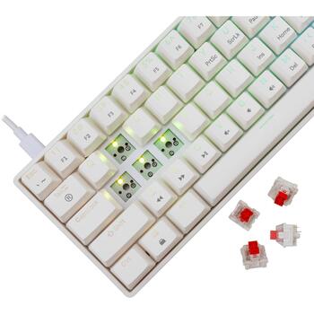 White Shark SHINOBI-2-W-US-RED.SW, механическая клавиатура, 61 клавиша, RGB, горячая замена Red переключателей, anti-ghosting, USB (SHINOBI-2-W-US-RED.SW)