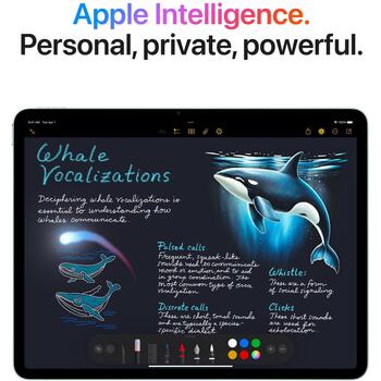 Apple Планшет MCG54HC/A, 11