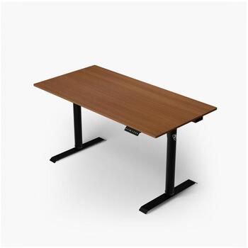Arozzi Electric Standing Desk | Arena Nordico | Walnut (ARENA-NRD-WLN)