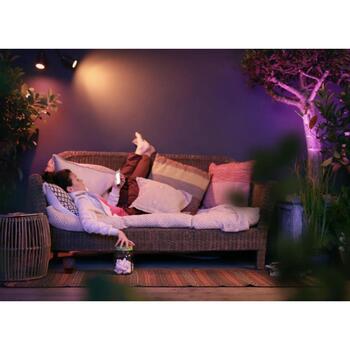 Philips Hue уличный прожектор Lily 8718696169087, 8Вт, 24В, 600лм, 2000-6500К, IP65, LED, Bluetooth, Zigbee, Apple HomeKit, Alexa (8718696169087)