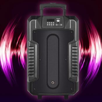 Manta Беспроводная колонка SPK1203B100, 100 W, Bluetooth 5.0, AUX, Гитара, Микрофон, Micro SD, USB, 8 ч работы от аккумулятора (SPK1203B100)
