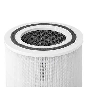 Фильтр HEPA+Уголь «Tag 2» для очистителя воздуха DUUX DXPU06/DXPU07 Белый DXPUF06 (DXPUF06)