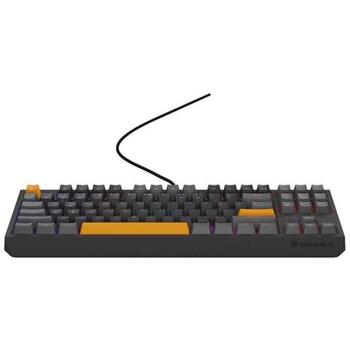 Genesis Thor 230 TKL mehāniskā spēļu tastatūra NKG-2081, 87 taustiņi, Outemu Red, RGB LED, USB Type-C, 3000 mAh, QWERTY, Hot-Swap (NKG-2081)