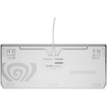Genesis Thor 230 TKL механическая игровая клавиатура NKG-2080, проводная, USB Type-C, 87 клавиш, Outemu Brown, RGB, белая (NKG-2080)