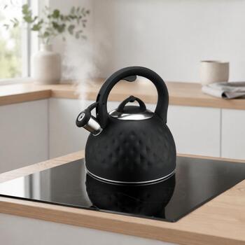 Brock MWK 003 BK чайник, 2,5 л, 3 л, нержавеющая сталь, черный, для индукции, со свистком (MWK 003 BK)