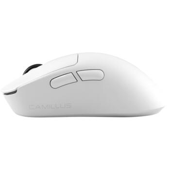 White Shark игровая мышь CAMILLUS WGM-9013, 30000 DPI, 1000 Hz, 70 G, 6 кнопок, 62 г, USB, 2.4 GHz, Bluetooth, OMRON, PTFE (CAMILLUS-W)