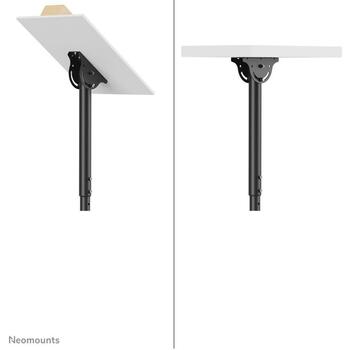 Neomounts televizora stiprinājums griestu NM-C440DBLACK, 32-60