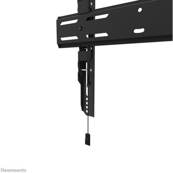 Neomounts настенный крепеж WL30S-850BL14 фиксированный 40-75