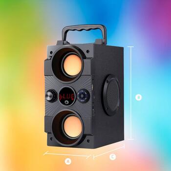 Manta Караоке колонка SPK8170000001, 16W, 10ч, FM радио, Bluetooth, USB-C, MicroSD, проводной микрофон (SPK8170000001)