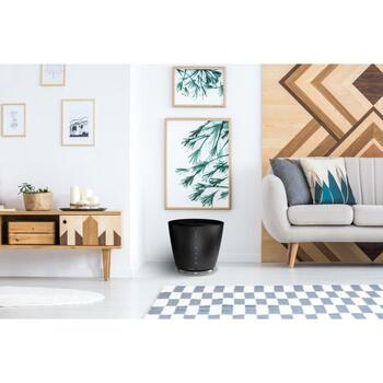 Stylies Очиститель воздуха COP000834 Pegasus, черный, 50 м2, 35 дБ, HPP фильтр, активированный уголь, моющийся фильтр, таймер (COP000834)