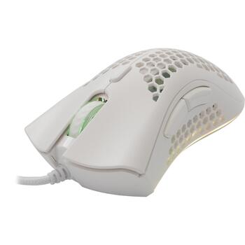 Baracuda CORAL-W BGM-032, White (CORAL-W)
