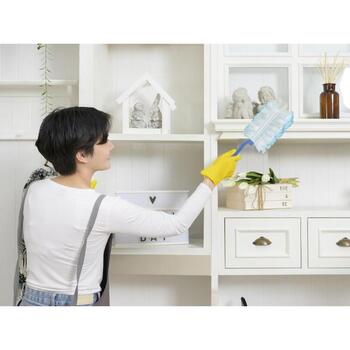 Beper Комплект для удаления пыли C203PUL004, 11x2x28см, пластик (C203PUL004)