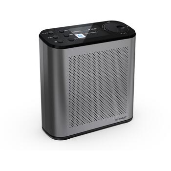 Sharp OSAKA Портативное цифровое радио DR-P530(GY), 5V, 120 предустановленных станций, Bluetooth, USB порт, аккумулятор (DR-P530(GY))