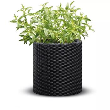 Keter Цветочный горшок Small Cylinder Planter 29197833939, 28x28x28,5см, серый, дизайн ротанг (29197833939)