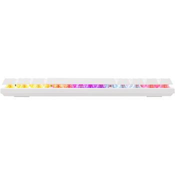 Baracuda DOLPHIN-W-BLUE BGK-03221, 61 клавиша, синие переключатели, USB, белый, подсветка, анти-ghosting 22 клавиши (DOLPHIN-W-BLUE)