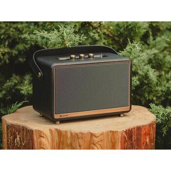 Tracer Портативная колонка TWS TRAGLO47248, 45W, Bluetooth 5.0, FM радио, 2 колонки, аккумулятор, черный (TRAGLO47248)