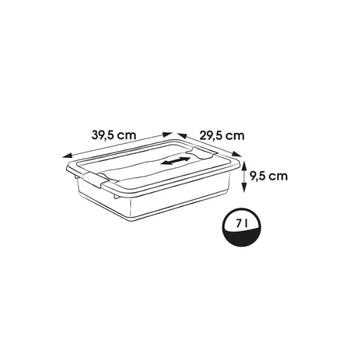 Keeeper Коробка с крышкой Cornelia 0610944001, 39,5x29,5x9,5см, 7л, прозрачная, с зажимами (0610944001)
