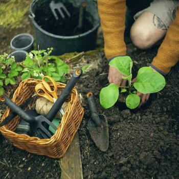 Fiskars 1071899 Совок, 65% переработанный пластик, устойчив к УФ, эргономичная ручка, отверстие для подвешивания (1071899)