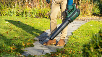Воздуходувка аккумуляторная AdvancedLeafBlower 36V-750, 1x2Ah, 06008C6000 BOSCH (06008C6000)