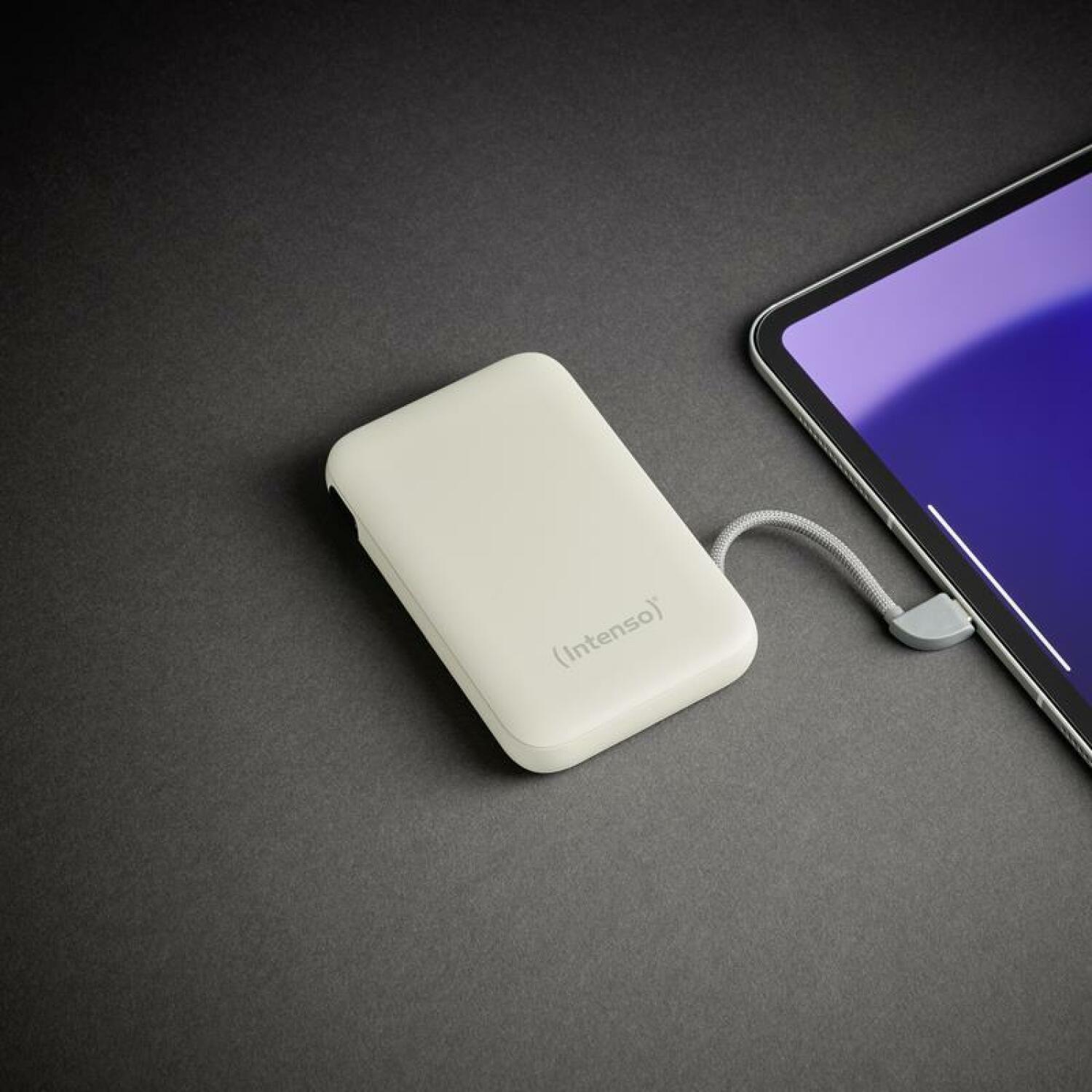 Intenso Power Bank S10000 10000 мАч, литий-полимер, 1 Type-C порт, 3 А, ЖК-дисплей, бежевый (7333031)