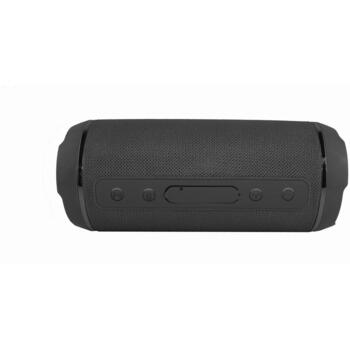 Manta Bluetooth колонка SPK13GO, 10W, 2x5W, Bluetooth V4.2, FM радио, USB, micro SD, микрофон (SPK13GO)