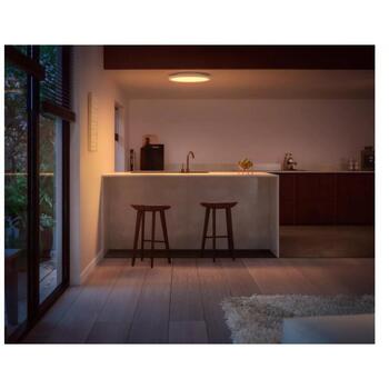 Philips Hue Surimu умный потолочный светильник 8721103044594, 2850 лм, 40 Вт, 2000-6500 K, IP20, Bluetooth, Zigbee (8721103044594)