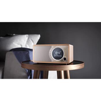 Sharp Цифровое радио DR-450(BR), 3W, DAB, DAB+, FM, Bluetooth, Коричневый (DR-450(BR))