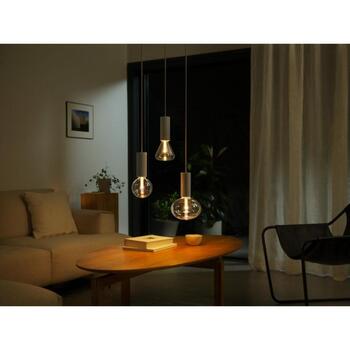 Philips Hue умная лампа WCA Lightguide G125 8720169311954, E27, 6.8Вт, 500лм, 2000-6500K, LED, Bluetooth, Zigbee (8720169311954)
