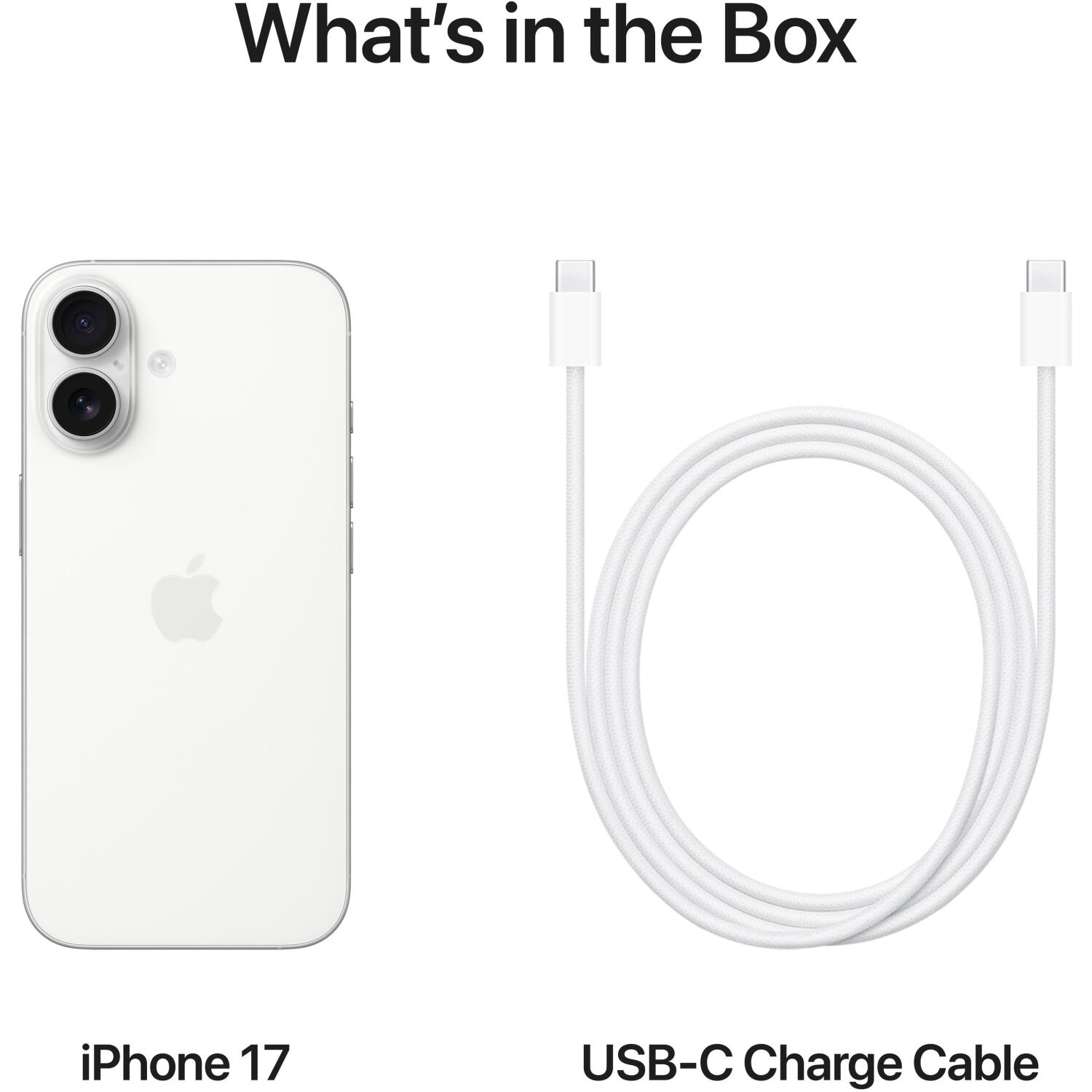 Apple Мобильный телефон iPhone 17 MG6K4HX/A, 6.3