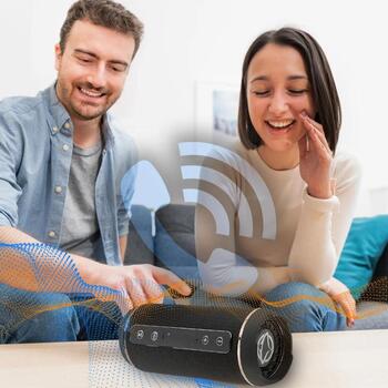 Manta Bluetooth колонка SPK13GO, 10W, 2x5W, Bluetooth V4.2, FM радио, USB, micro SD, микрофон (SPK13GO)