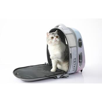Petkit Рюкзак для домашних животных Breezy 2, P7704, 1.4кг, ABS, PC, ткань, 33x30x45см, эргономичный, вентиляция, освещение (P7704 Pink)