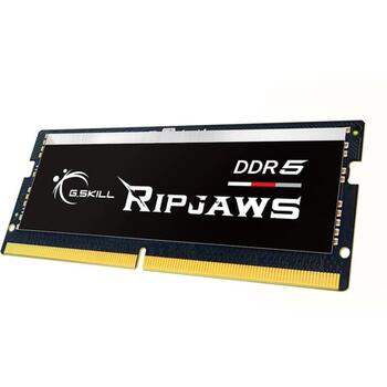 G.Skill Ripjaws модуль памяти F5-5600S4645A16GX1-RS, 16 ГБ, DDR5, 5600 МГц, 1.1 В, CL46, Dual channel, XMP 3.0 (F5-5600S4645A16GX1-RS)