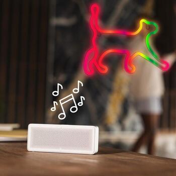 Manta Neona gaismas SNL60RGB, 5W, 5V, 2m barošanas vads, 16 krāsas, bezvadu tālvadība, spilgtuma regulēšana (SNL60RGB)